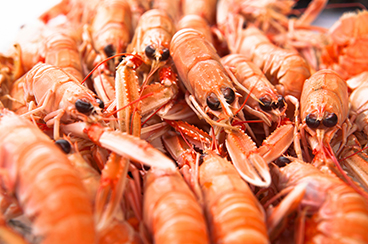 Закуски к пиву